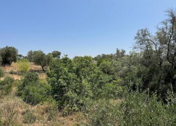 PHOTO-2025-06-12-14-18-41.jpg - Casa indipendente santuario san biagio, Ostuni - foto 24