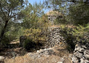 PHOTO-2025-06-12-14-22-22 2.jpg - Casa indipendente santuario san biagio, Ostuni - foto 29