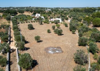 senza titolo-2.jpg - Villa contrada san benedetto, Ostuni - foto 13