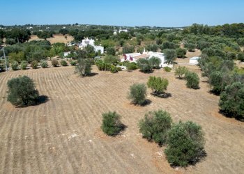 senza titolo-3.jpg - Villa contrada san benedetto, Ostuni - foto 14