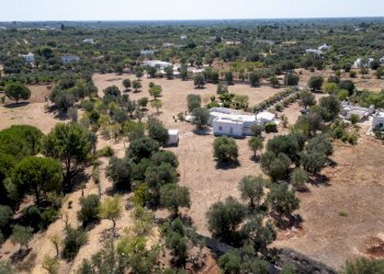 senza titolo-13.jpg - Villa contrada san benedetto, Ostuni - foto 24