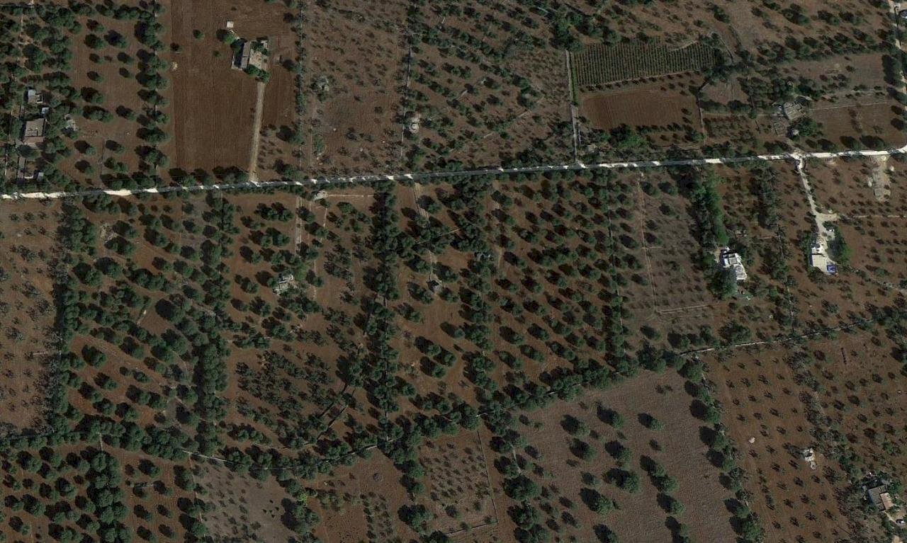 PHOTO-2025-05-27-19-00-55.jpg - Terreno edificabile Contrada Boccadoro, Ostuni - foto 3