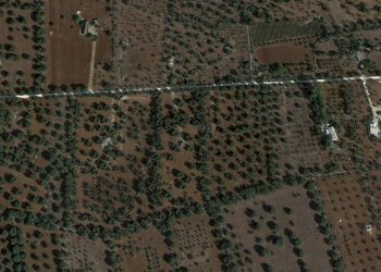 PHOTO-2025-05-27-19-00-55.jpg - Terreno edificabile Contrada Boccadoro, Ostuni - foto 3