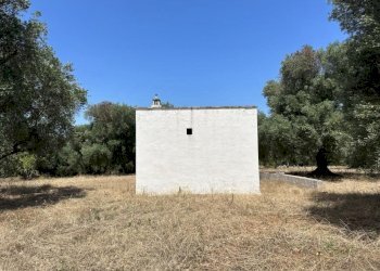 PHOTO-2025-05-27-19-00-56.jpg - Terreno edificabile Contrada Boccadoro, Ostuni - foto 5