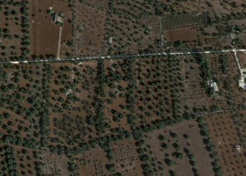 PHOTO-2025-05-27-19-00-58.jpg - Terreno edificabile Contrada Boccadoro, Ostuni - foto 7