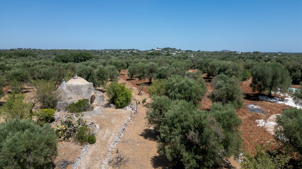 senza titolo-67.jpg - Casa indipendente Strada Provinciale 29, Ostuni - foto 2