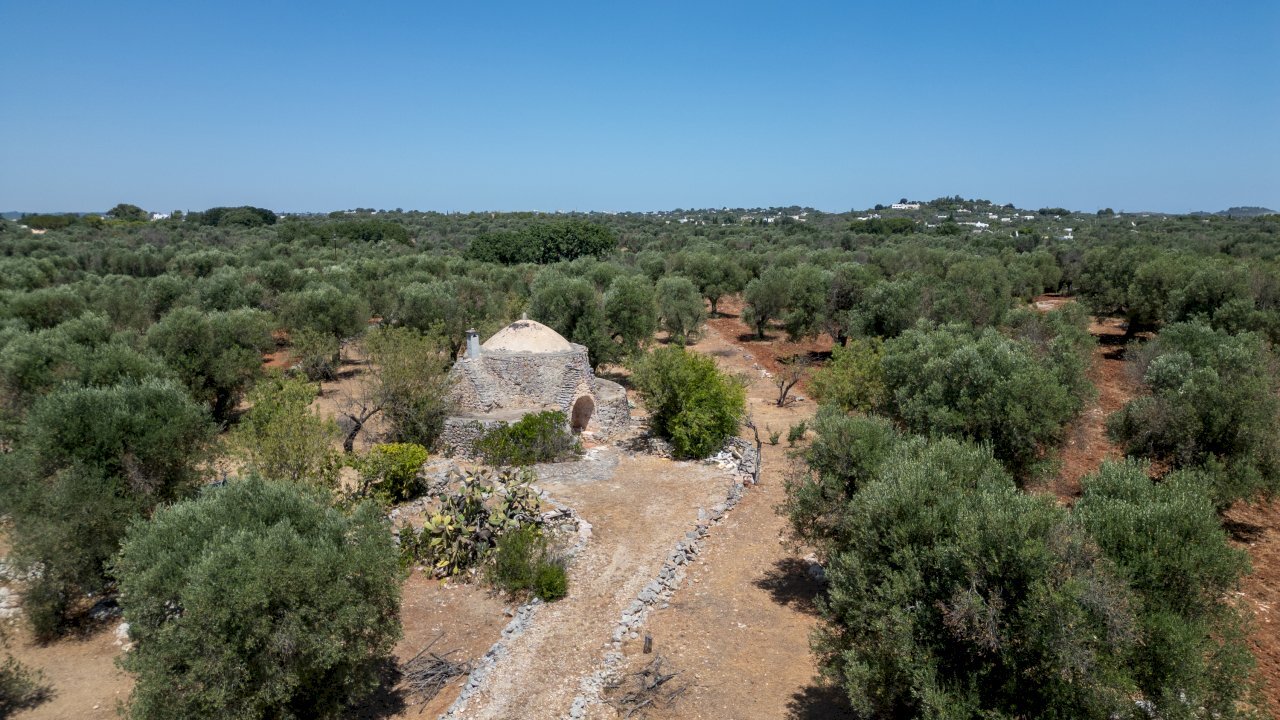 senza titolo-68.jpg - Casa indipendente Strada Provinciale 29, Ostuni - foto 3