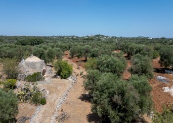 senza titolo-67.jpg - Casa indipendente Strada Provinciale 29, Ostuni - foto 2