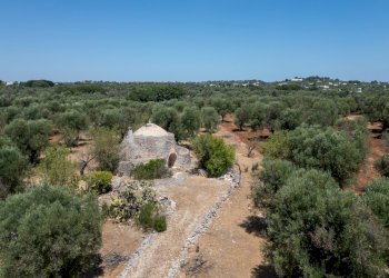 senza titolo-68.jpg - Casa indipendente Strada Provinciale 29, Ostuni - foto 3