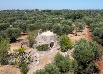 senza titolo-69.jpg - Casa indipendente Strada Provinciale 29, Ostuni - foto 4