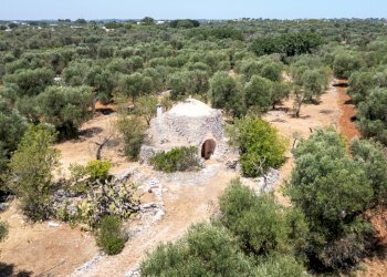 senza titolo-70.jpg - Casa indipendente Strada Provinciale 29, Ostuni - foto 5