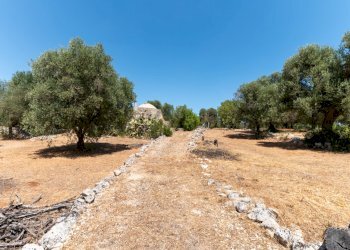 senza titolo-79.jpg - Casa indipendente Strada Provinciale 29, Ostuni - foto 14