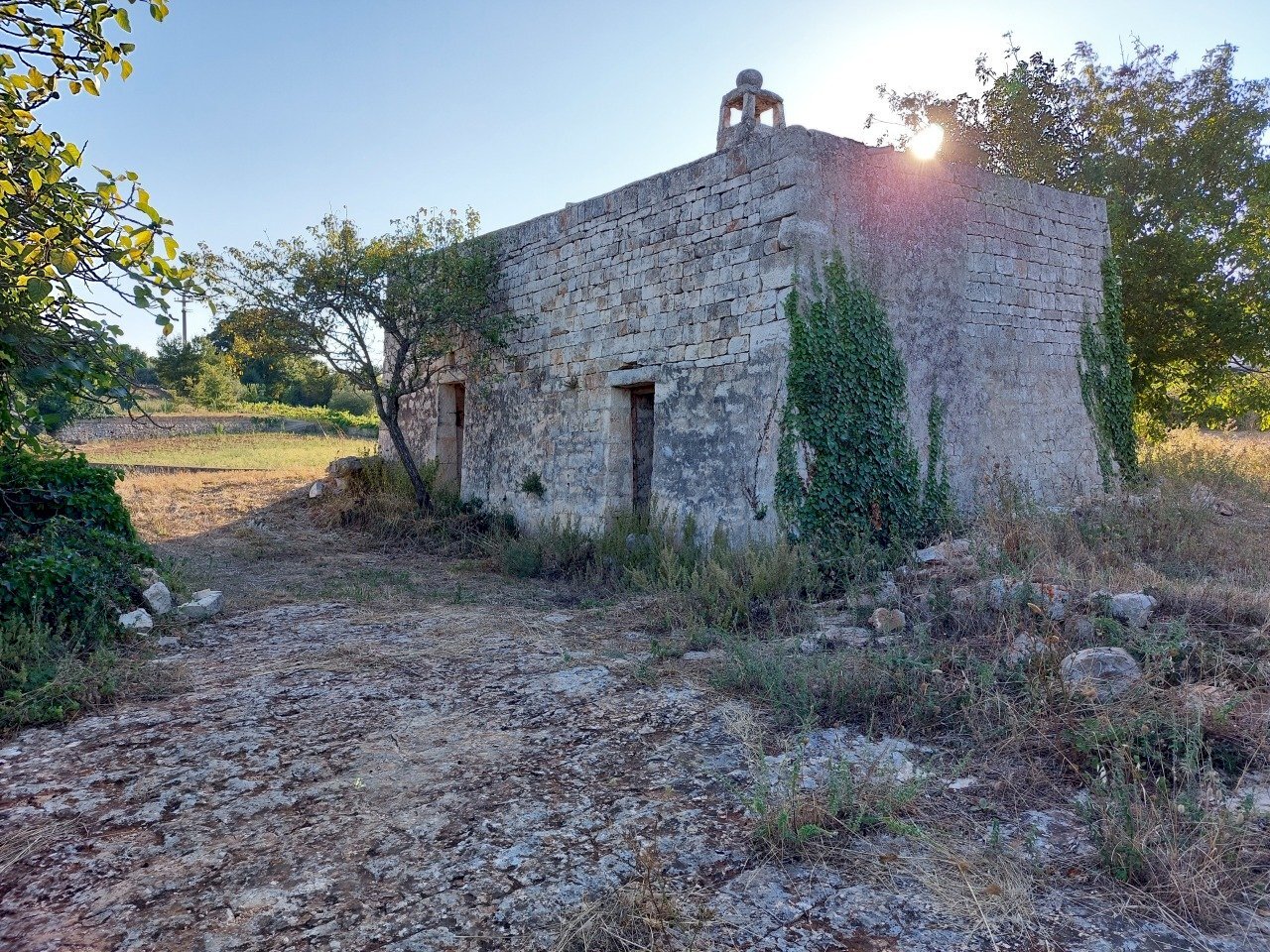 20230811_181819.jpg - Casa indipendente Contrada Panza, Cisternino - foto 1