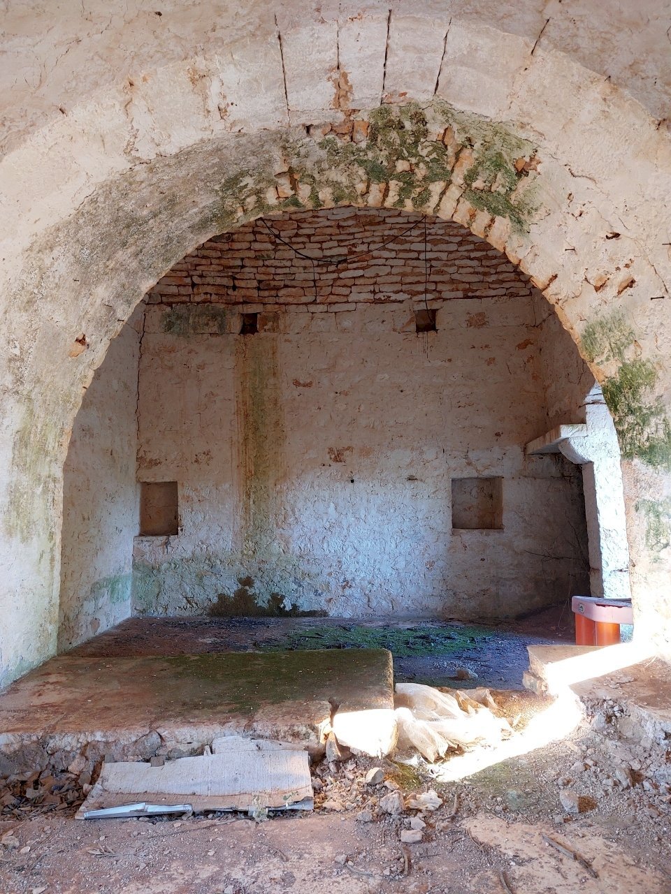 20230811_181216.jpg - Casa indipendente Contrada Panza, Cisternino - foto 3