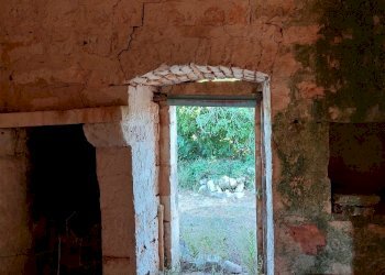 20230811_181542.jpg - Casa indipendente Contrada Panza, Cisternino - foto 10