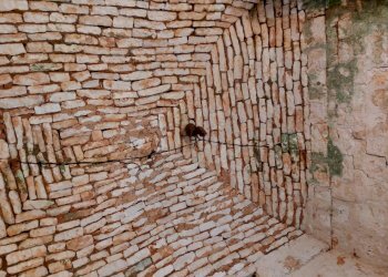 20230811_181554.jpg - Casa indipendente Contrada Panza, Cisternino - foto 11