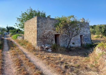 20230811_181846.jpg - Casa indipendente Contrada Panza, Cisternino - foto 20
