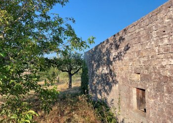 20230811_181936.jpg - Casa indipendente Contrada Panza, Cisternino - foto 22
