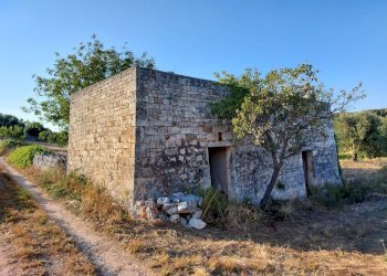 20230811_182044.jpg - Casa indipendente Contrada Panza, Cisternino - foto 24