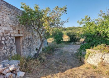 20230811_182053.jpg - Casa indipendente Contrada Panza, Cisternino - foto 25