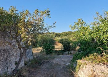 20230811_182102.jpg - Casa indipendente Contrada Panza, Cisternino - foto 26