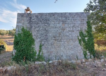 20230811_182147.jpg - Casa indipendente Contrada Panza, Cisternino - foto 28