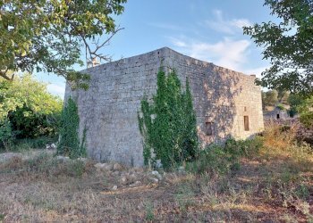 20230811_182158.jpg - Casa indipendente Contrada Panza, Cisternino - foto 29