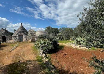 WhatsApp Image 2025-03-17 at 14.51.29.jpeg - Casa indipendente Contrada San Giovanni, Ostuni - foto 4