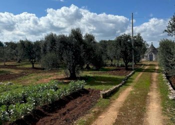 WhatsApp Image 2025-03-17 at 14.51.28.jpeg - Casa indipendente Contrada San Giovanni, Ostuni - foto 20