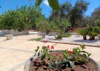 WhatsApp Image 2025-03-14 at 13.53.50 (3).jpeg - Casa indipendente Strada Provinciale 28, Ostuni - foto 9