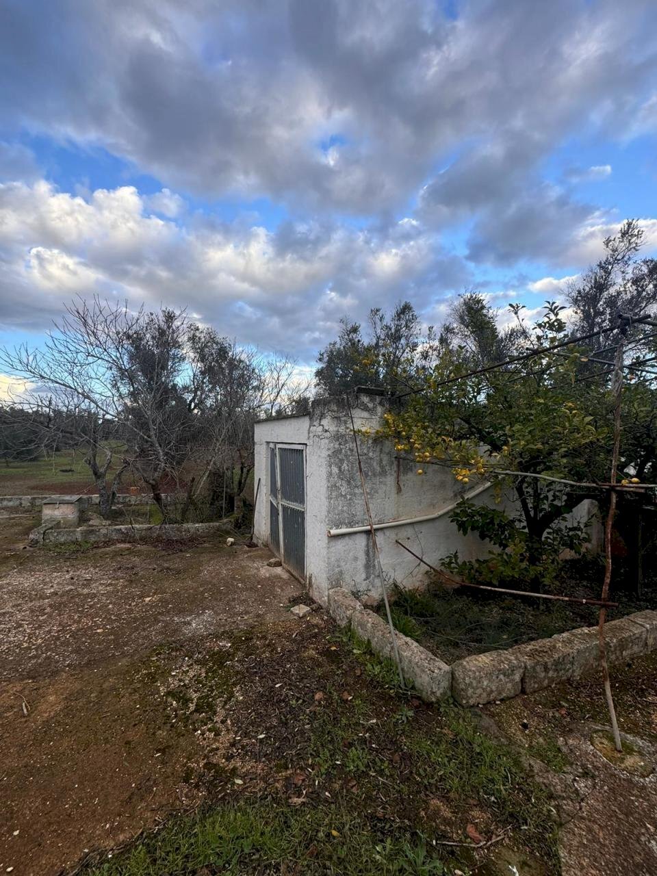 1.jpeg - Casa indipendente Strada Provinciale ex SS 581, Ceglie Messapica - foto 2