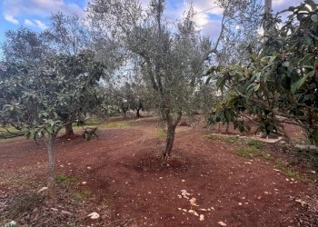 7.jpeg - Casa indipendente Strada Provinciale ex SS 581, Ceglie Messapica - foto 7