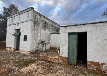 8.jpeg - Casa indipendente Strada Provinciale ex SS 581, Ceglie Messapica - foto 8