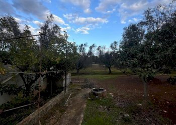 9.jpeg - Casa indipendente Strada Provinciale ex SS 581, Ceglie Messapica - foto 9