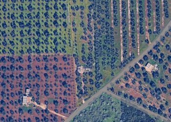 WhatsApp Image 2024-12-20 at 16.34.03.jpeg - Casa indipendente Strada Provinciale ex SS 581, Ceglie Messapica - foto 16