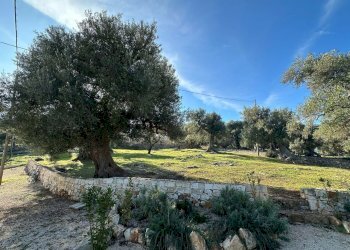 WhatsApp Image 2024-12-18 at 09.58.52 (1).jpeg - Casa indipendente Corso Giuseppe Mazzini, Ostuni - foto 18