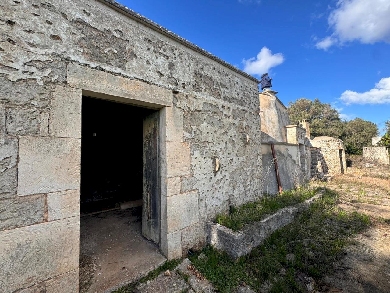 4.jpeg - Casa indipendente Contrada Le Camere, Ostuni - foto 1