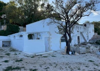 11-WhatsApp Image 2025-09-09 at 18.45.55 (2).jpeg. - Casale corso giuseppe mazzini, Ostuni - foto 5