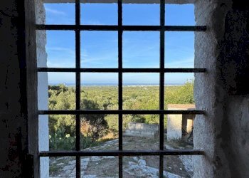 12-WhatsApp Image 2025-09-09 at 18.45.55 (1).jpeg. - Casale corso giuseppe mazzini, Ostuni - foto 6