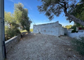 18-WhatsApp Image 2025-09-09 at 18.45.53 (2).jpeg. - Casale corso giuseppe mazzini, Ostuni - foto 12