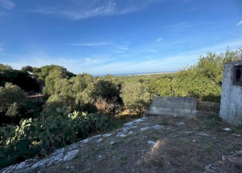 19-WhatsApp Image 2025-09-09 at 18.45.53 (1).jpeg. - Casale corso giuseppe mazzini, Ostuni - foto 13