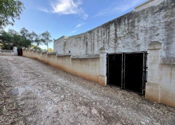 23-WhatsApp Image 2025-09-09 at 18.45.52.jpeg.jpg - Casale corso giuseppe mazzini, Ostuni - foto 16