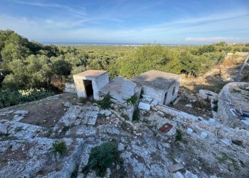 25-WhatsApp Image 2025-09-09 at 18.45.51 (2).jpeg. - Casale corso giuseppe mazzini, Ostuni - foto 17