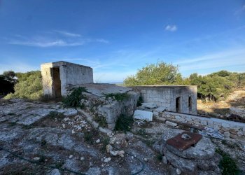 26-WhatsApp Image 2025-09-09 at 18.45.51 (1).jpeg. - Casale corso giuseppe mazzini, Ostuni - foto 18