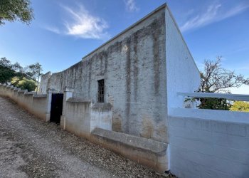 30-WhatsApp Image 2025-09-09 at 18.45.50 (1).jpeg. - Casale corso giuseppe mazzini, Ostuni - foto 22