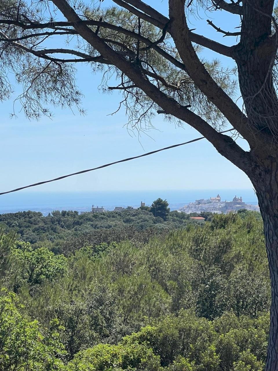 PHOTO-2024-06-08-18-43-31 20.jpg - Villa Strada Provinciale 17 SNC, Ostuni - foto 2