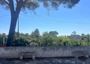 PHOTO-2024-06-08-18-43-31 2.jpg - Villa Strada Provinciale 17 SNC, Ostuni - foto 3