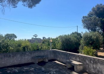 PHOTO-2024-06-08-18-43-31 3.jpg - Villa Strada Provinciale 17 SNC, Ostuni - foto 4