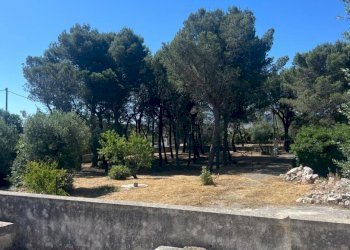 PHOTO-2024-06-08-18-43-31 4.jpg - Villa Strada Provinciale 17 SNC, Ostuni - foto 5