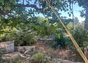 PHOTO-2024-06-08-18-43-31 15.jpg - Villa Strada Provinciale 17 SNC, Ostuni - foto 12